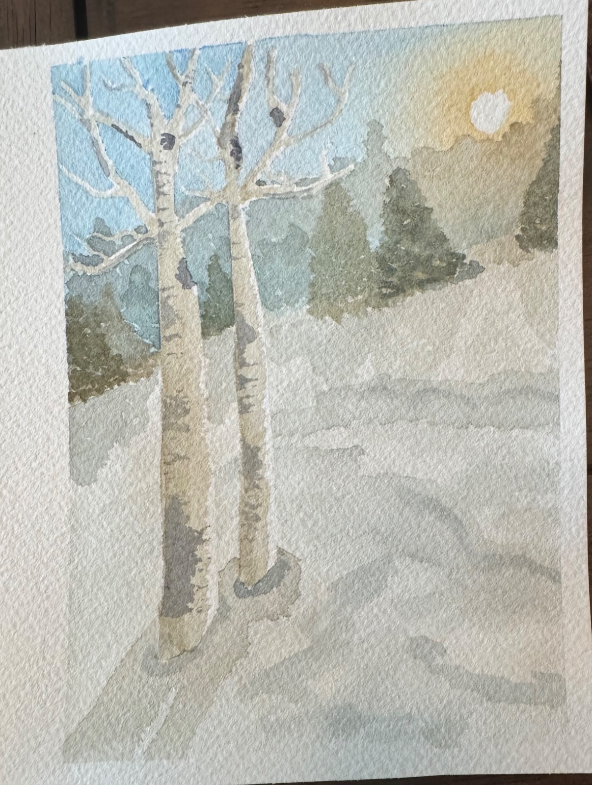 Winter Scene