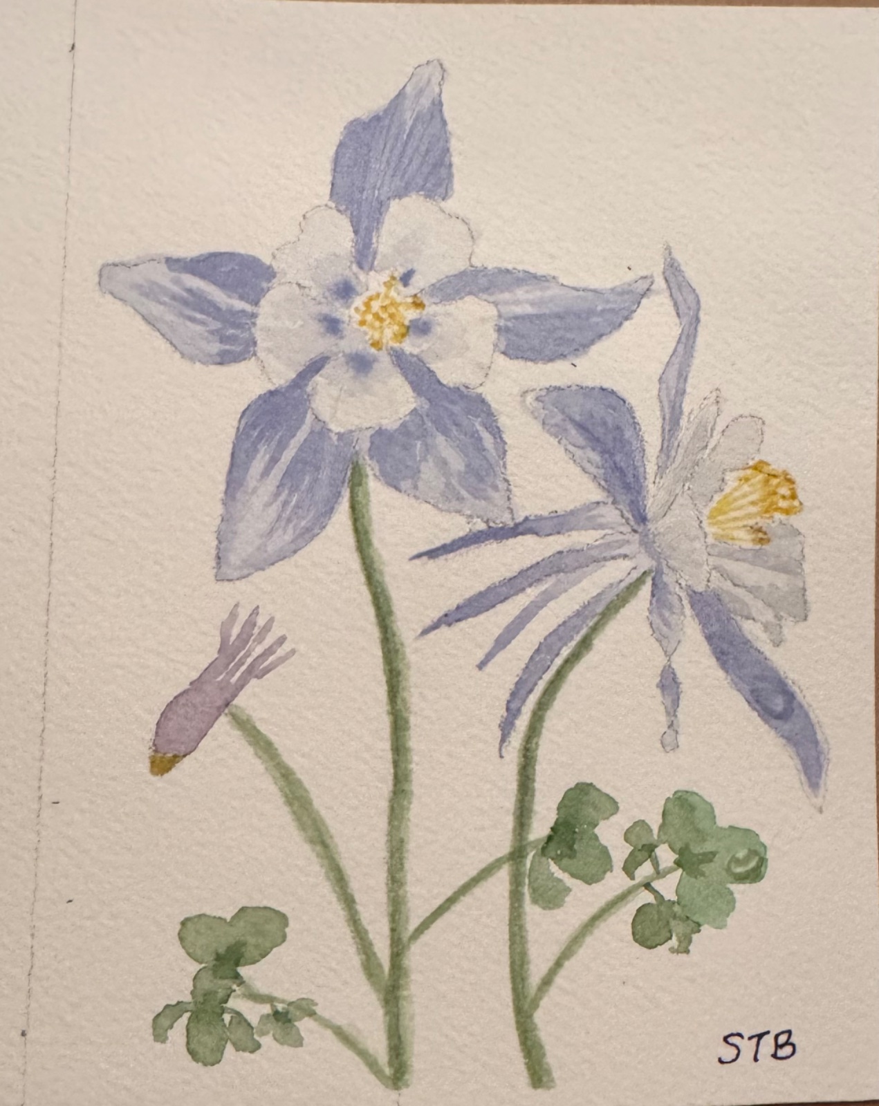 Columbine